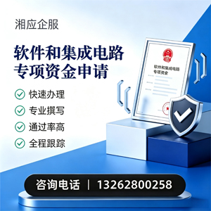 武汉软件和集成电路专项资金申报服务