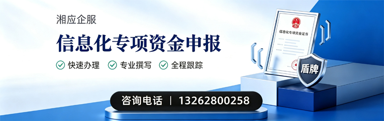 武汉信息化专项资金申报服务