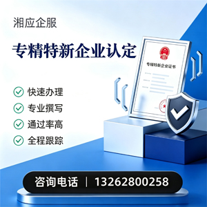 武汉专精特新企业申报服务