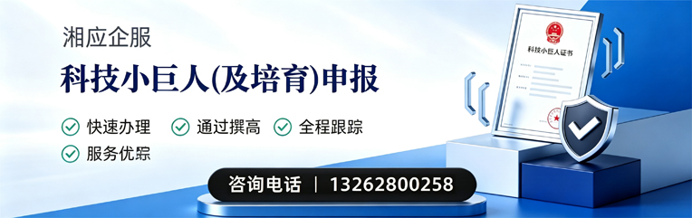 武汉科技小巨人及培育企业申报服务