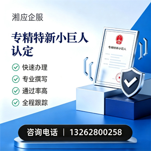 武汉专精特新小巨人申报服务