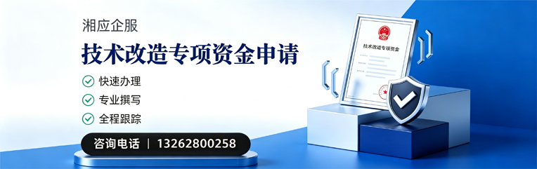 武汉技术改造专项资金申报服务