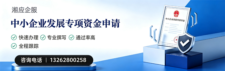武汉中小企业发展专项资金申报服务