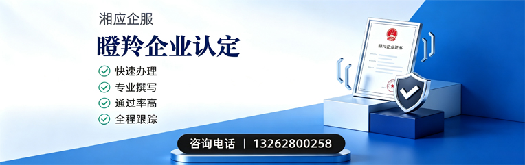 武汉瞪羚企业认定申报服务