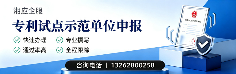 武汉专利试点示范单位申报服务
