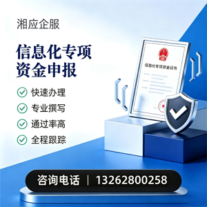 武汉信息化专项资金申报服务