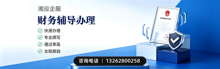 武汉财务辅导申请服务