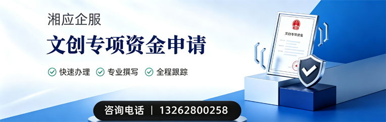 武汉文创专项资金申报服务