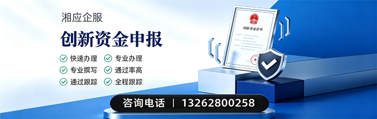 武汉创新资金申报服务