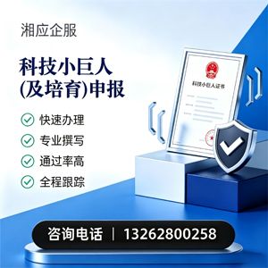 武汉科技小巨人及培育企业申报服务