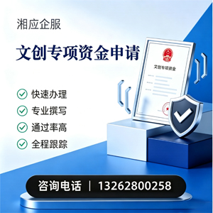 武汉文创专项资金申报服务