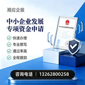 武汉中小企业发展专项资金申报服务