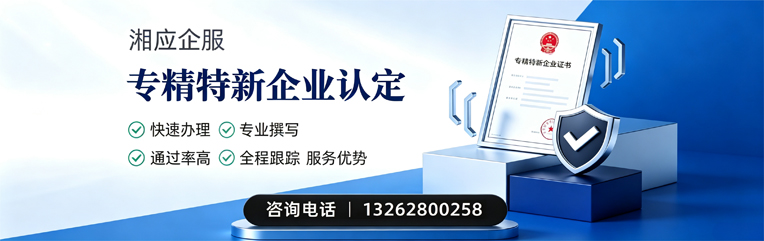 武汉专精特新企业申报服务