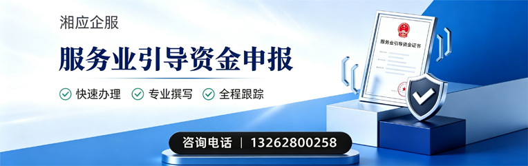 武汉服务业引导资金申报服务