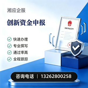 武汉创新资金申报服务