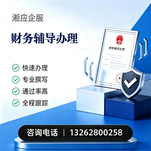 武汉财务辅导申请服务