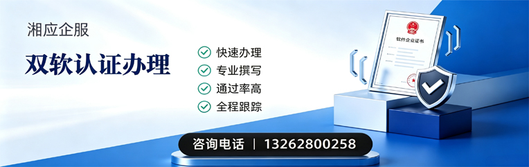 武汉双软认证申报服务