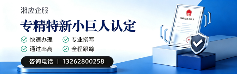 武汉专精特新小巨人申报服务